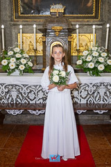 IMG_7081.jpg